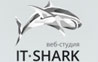 IT-Shark